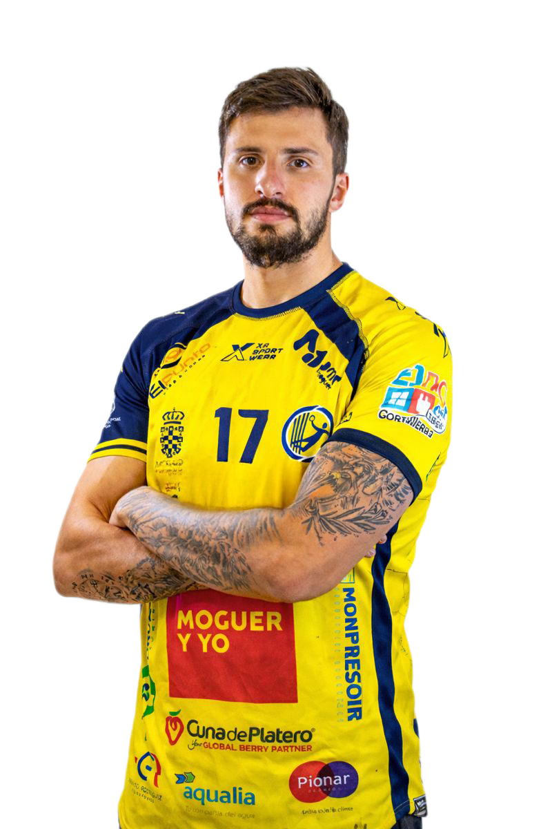 Henrique José Petter Solenta