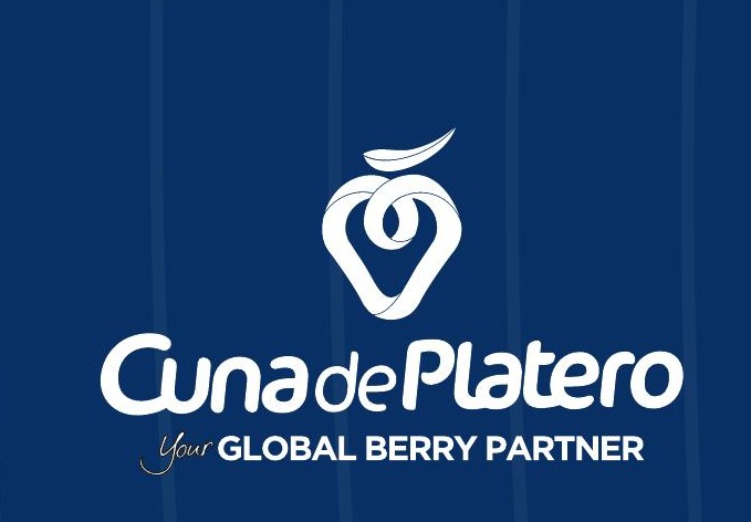 Cuna de Platero