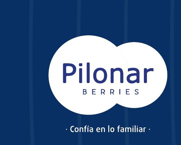 Pilonar Sabores