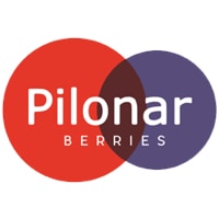 Pilonar Berries